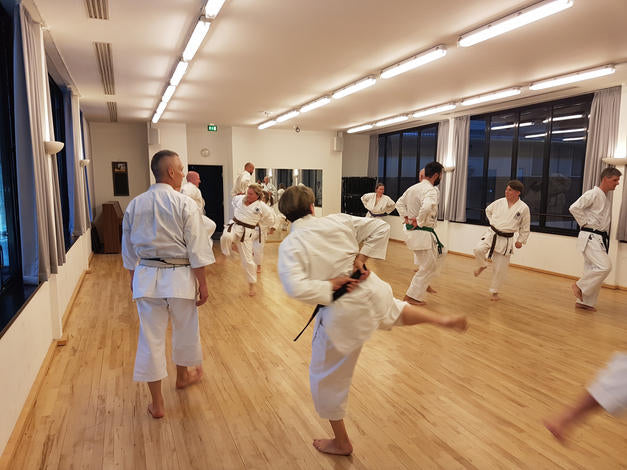 Rabat til Mujin-kai Karate Frederiksberg