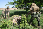 Den Tapre landsoldat